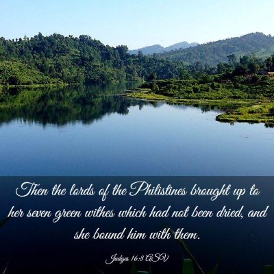 Picture 03 - Judges 16:8 ASV - Then the lords of the Philistines brought up to - Bible Verse Picture