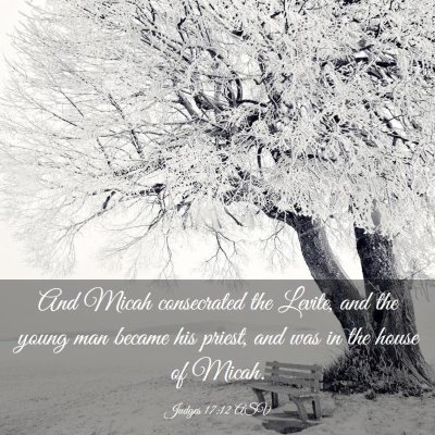 Picture 03 - Judges 17:12 ASV - And Micah consecrated the Levite, and the young - Bible Verse Picture