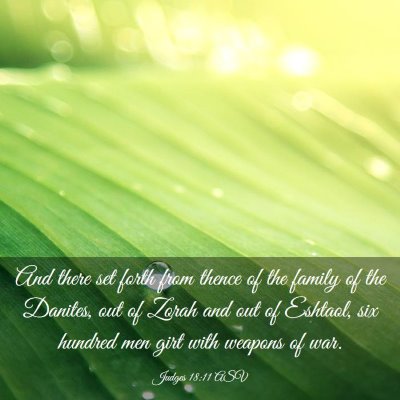 Picture 03 - Judges 18:11 ASV - And there set forth from thence of the family of - Bible Verse Picture