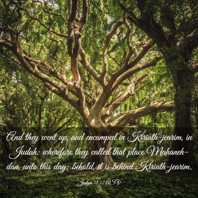 Picture 03 - Judges 18:12 ASV - And they went up, and encamped in Kiriath-jearim, - Bible Verse Picture