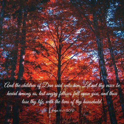 Picture 03 - Judges 18:25 ASV - And the children of Dan said unto him, Let not - Bible Verse Picture
