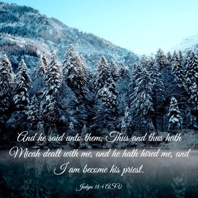 Picture 03 - Judges 18:4 ASV - And he said unto them, Thus and thus hath Micah - Bible Verse Picture