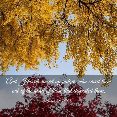 Picture 03 - Judges 2:16 ASV - And Jehovah raised up judges, who saved them out - Bible Verse Picture