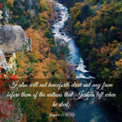 Picture 03 - Judges 2:21 ASV - I also will not henceforth drive out any from - Bible Verse Picture