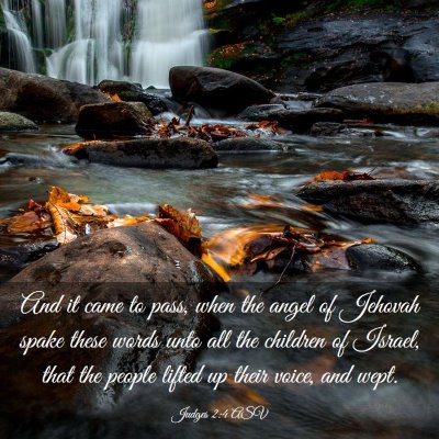 Picture 03 - Judges 2:4 ASV - And it came to pass, when the angel of Jehovah - Bible Verse Picture