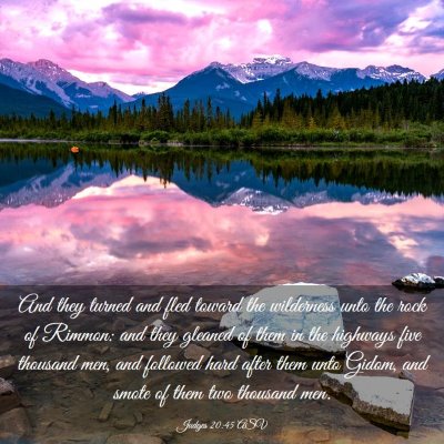 Picture 03 - Judges 20:45 ASV - And they turned and fled toward the wilderness - Bible Verse Picture