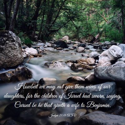 Picture 03 - Judges 21:18 ASV - Howbeit we may not give them wives of our - Bible Verse Picture