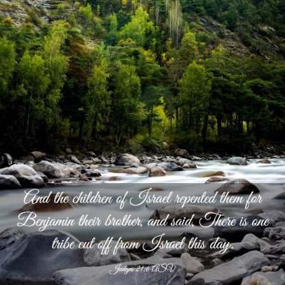 Picture 03 - Judges 21:6 ASV - And the children of Israel repented them for - Bible Verse Picture