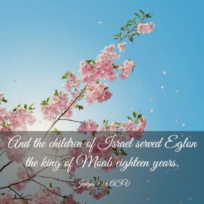 Picture 03 - Judges 3:14 ASV - And the children of Israel served Eglon the king - Bible Verse Picture