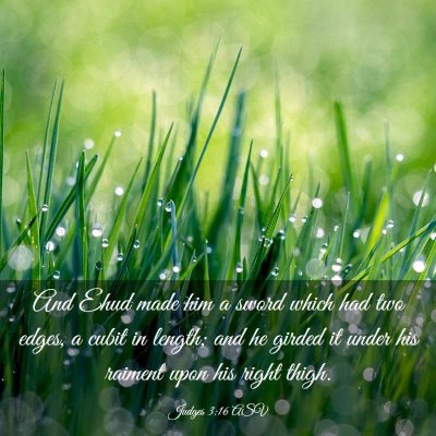 Picture 03 - Judges 3:16 ASV - And Ehud made him a sword which had two edges, a - Bible Verse Picture