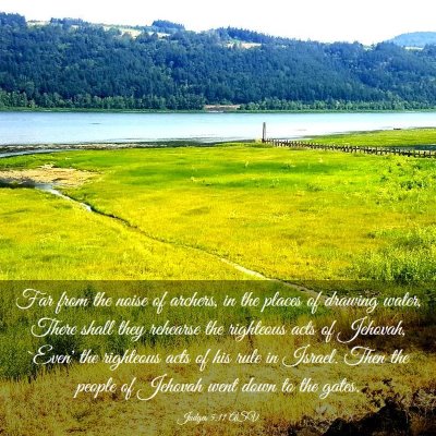 Picture 03 - Judges 5:11 ASV - Far from the noise of archers, in the places of - Bible Verse Picture