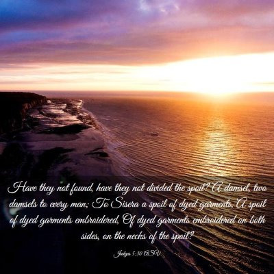Picture 03 - Judges 5:30 ASV - Have they not found, have they not divided the - Bible Verse Picture