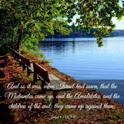Picture 03 - Judges 6:3 ASV - And so it was, when Israel had sown, that the - Bible Verse Picture