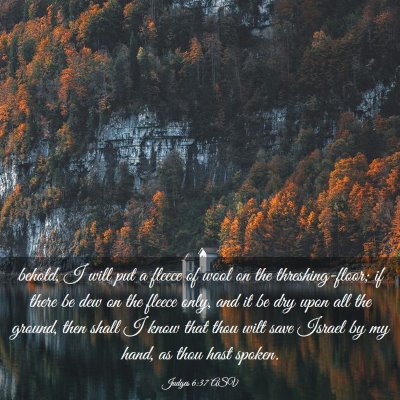 Picture 03 - Judges 6:37 ASV - behold, I will put a fleece of wool on the - Bible Verse Picture