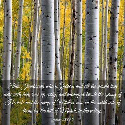 Picture 03 - Judges 7:1 ASV - Then Jerubbaal, who is Gideon, and all the people - Bible Verse Picture