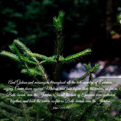 Picture 03 - Judges 7:24 ASV - And Gideon sent messengers throughout all the - Bible Verse Picture