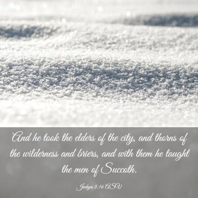 Picture 03 - Judges 8:16 ASV - And he took the elders of the city, and thorns of - Bible Verse Picture