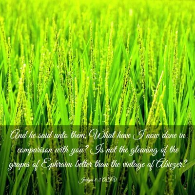 Picture 03 - Judges 8:2 ASV - And he said unto them, What have I now done in - Bible Verse Picture