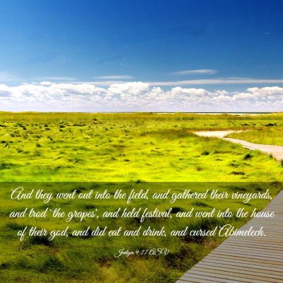 Picture 03 - Judges 9:27 ASV - And they went out into the field, and gathered - Bible Verse Picture