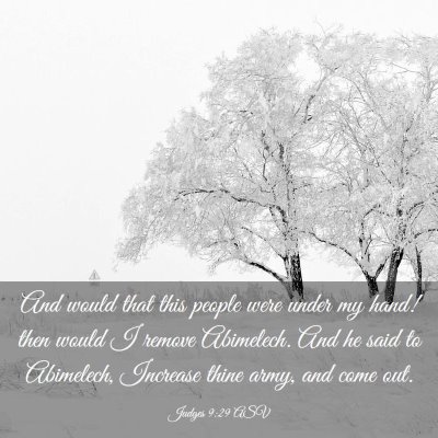 Picture 03 - Judges 9:29 ASV - And would that this people were under my hand! - Bible Verse Picture