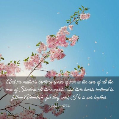 Picture 03 - Judges 9:3 ASV - And his mother's brethren spake of him in the - Bible Verse Picture