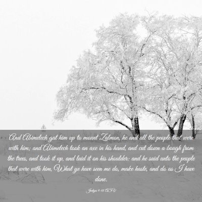Picture 03 - Judges 9:48 ASV - And Abimelech gat him up to mount Zalmon, he and - Bible Verse Picture