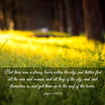 Picture 03 - Judges 9:51 ASV - But there was a strong tower within the city, and - Bible Verse Picture