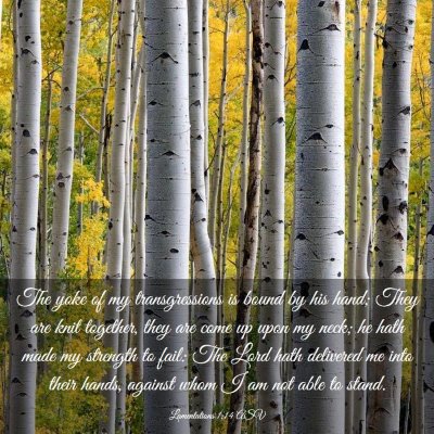 Picture 03 - Lamentations 1:14 ASV - The yoke of my transgressions is bound by his - Bible Verse Picture