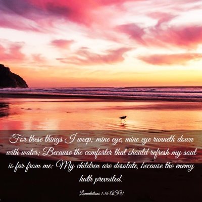 Picture 03 - Lamentations 1:16 ASV - For these things I weep; mine eye, mine eye - Bible Verse Picture