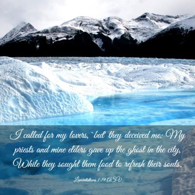 Picture 03 - Lamentations 1:19 ASV - I called for my lovers, `but' they deceived me: - Bible Verse Picture