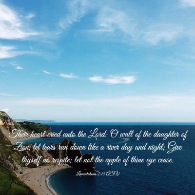 Picture 03 - Lamentations 2:18 ASV - Their heart cried unto the Lord: O wall of the - Bible Verse Picture