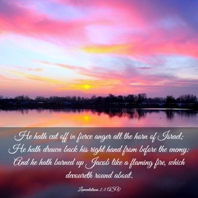 Picture 03 - Lamentations 2:3 ASV - He hath cut off in fierce anger all the horn of - Bible Verse Picture