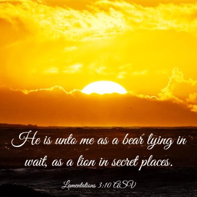 Picture 03 - Lamentations 3:10 ASV - He is unto me as a bear lying in wait, as a lion - Bible Verse Picture