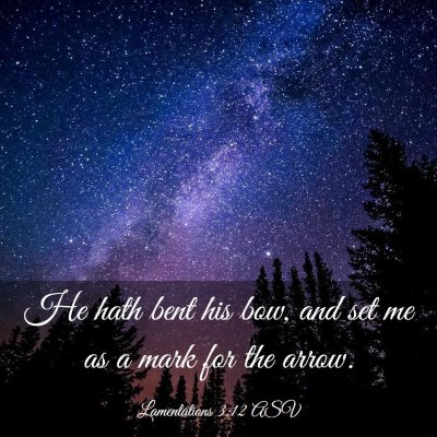 Picture 03 - Lamentations 3:12 ASV - He hath bent his bow, and set me as a mark for - Bible Verse Picture