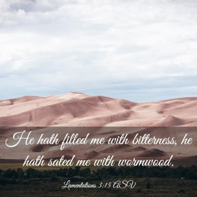 Picture 03 - Lamentations 3:15 ASV - He hath filled me with bitterness, he hath sated - Bible Verse Picture