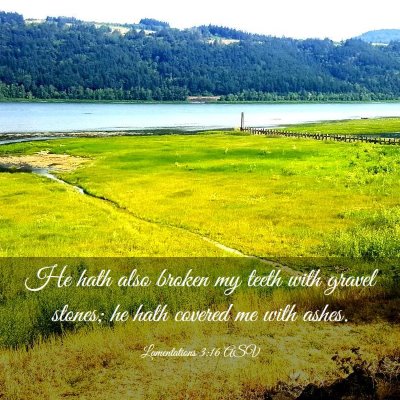 Picture 03 - Lamentations 3:16 ASV - He hath also broken my teeth with gravel stones; - Bible Verse Picture