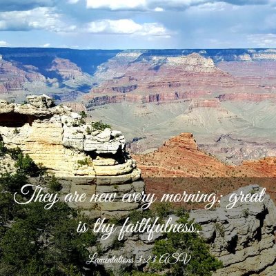 Picture 03 - Lamentations 3:23 ASV - They are new every morning; great is thy - Bible Verse Picture