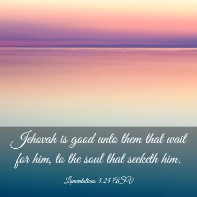 Picture 03 - Lamentations 3:25 ASV - Jehovah is good unto them that wait for him, to - Bible Verse Picture