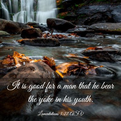 Picture 03 - Lamentations 3:27 ASV - It is good for a man that he bear the yoke in his - Bible Verse Picture