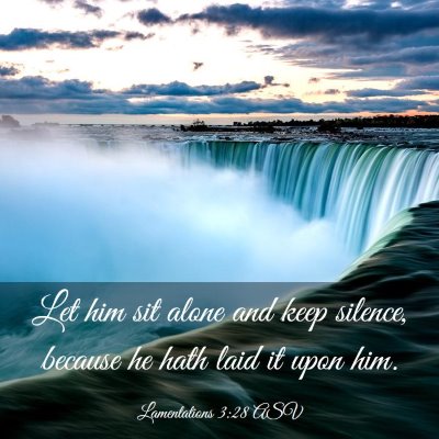 Picture 03 - Lamentations 3:28 ASV - Let him sit alone and keep silence, because he - Bible Verse Picture