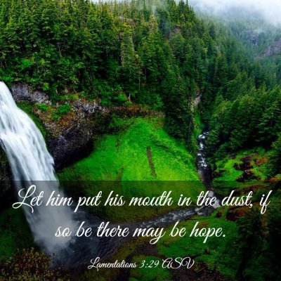 Picture 03 - Lamentations 3:29 ASV - Let him put his mouth in the dust, if so be there - Bible Verse Picture
