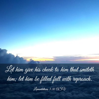 Picture 03 - Lamentations 3:30 ASV - Let him give his cheek to him that smiteth him; - Bible Verse Picture