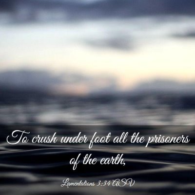 Picture 03 - Lamentations 3:34 ASV - To crush under foot all the prisoners of the - Bible Verse Picture