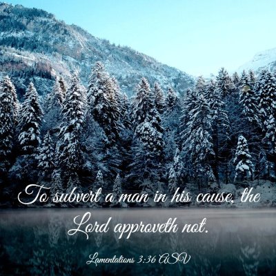 Picture 03 - Lamentations 3:36 ASV - To subvert a man in his cause, the Lord approveth - Bible Verse Picture