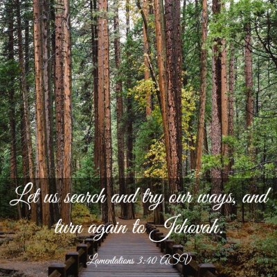 Picture 03 - Lamentations 3:40 ASV - Let us search and try our ways, and turn again to - Bible Verse Picture
