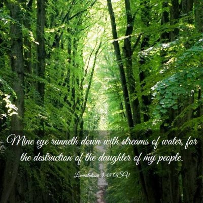 Picture 03 - Lamentations 3:48 ASV - Mine eye runneth down with streams of water, for - Bible Verse Picture