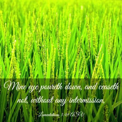 Picture 03 - Lamentations 3:49 ASV - Mine eye poureth down, and ceaseth not, without - Bible Verse Picture