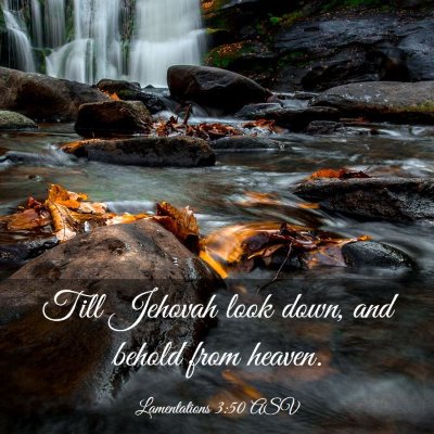 Picture 03 - Lamentations 3:50 ASV - Till Jehovah look down, and behold from - Bible Verse Picture