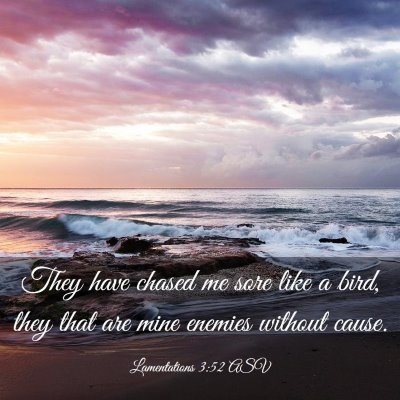 Picture 03 - Lamentations 3:52 ASV - They have chased me sore like a bird, they that - Bible Verse Picture