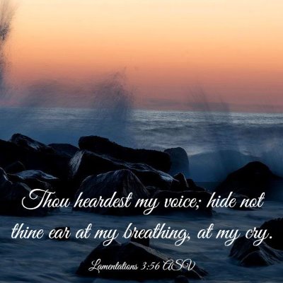 Picture 03 - Lamentations 3:56 ASV - Thou heardest my voice; hide not thine ear at my - Bible Verse Picture